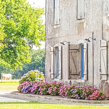 In Beylongue